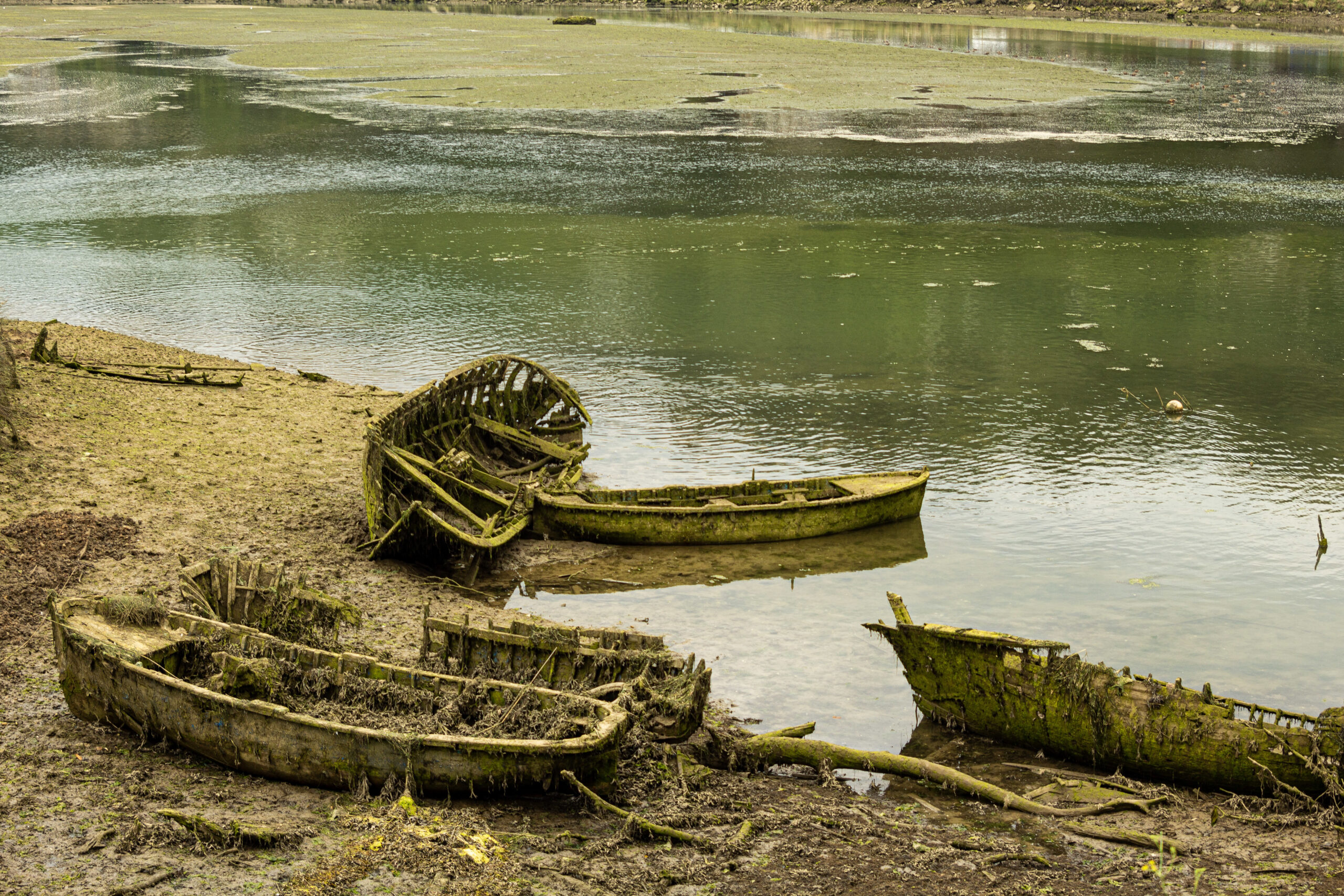 Group of old abandoned boats on the beach